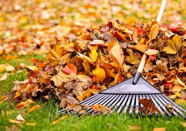 Read more about the article Your Fall Maintenance Checklist